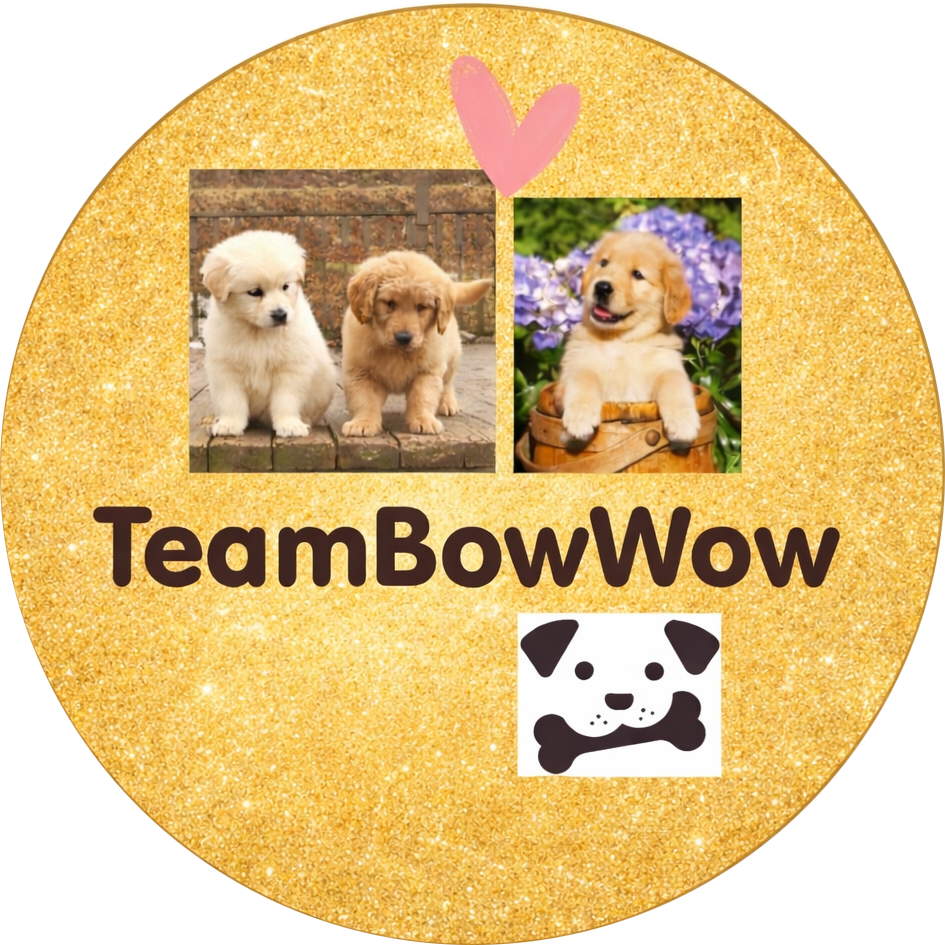 TeamBowWow