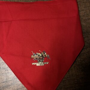 Classic Red Velcro Dog Bandana| Size Large