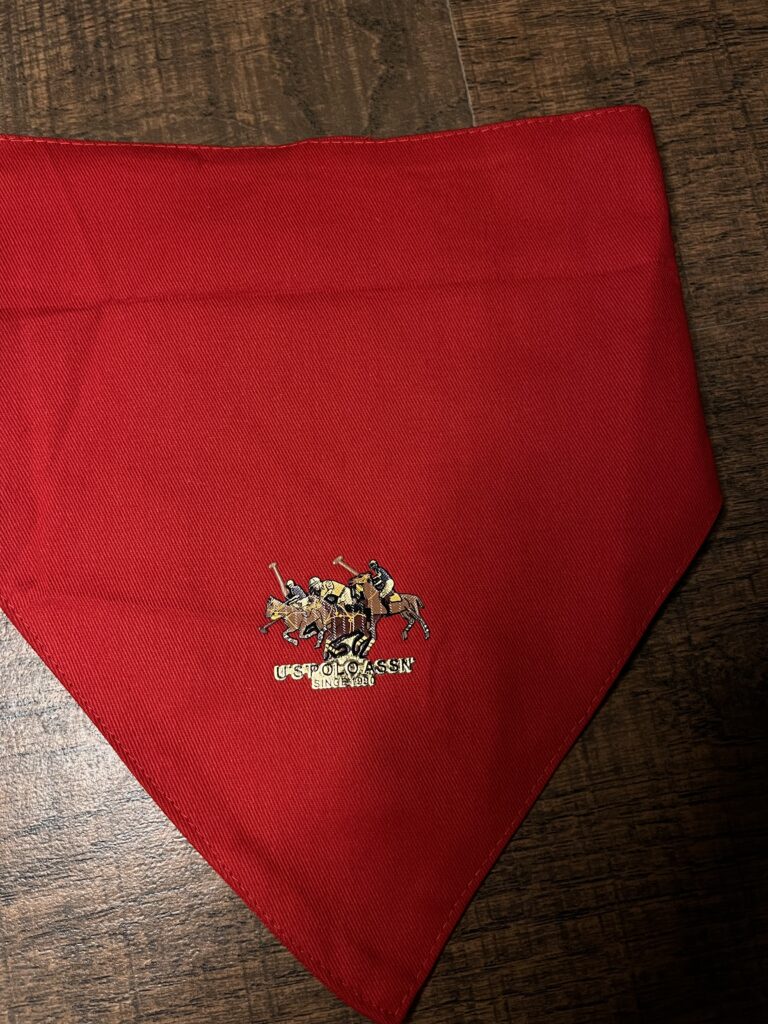 Classic Red Velcro Dog Bandana| Size Large