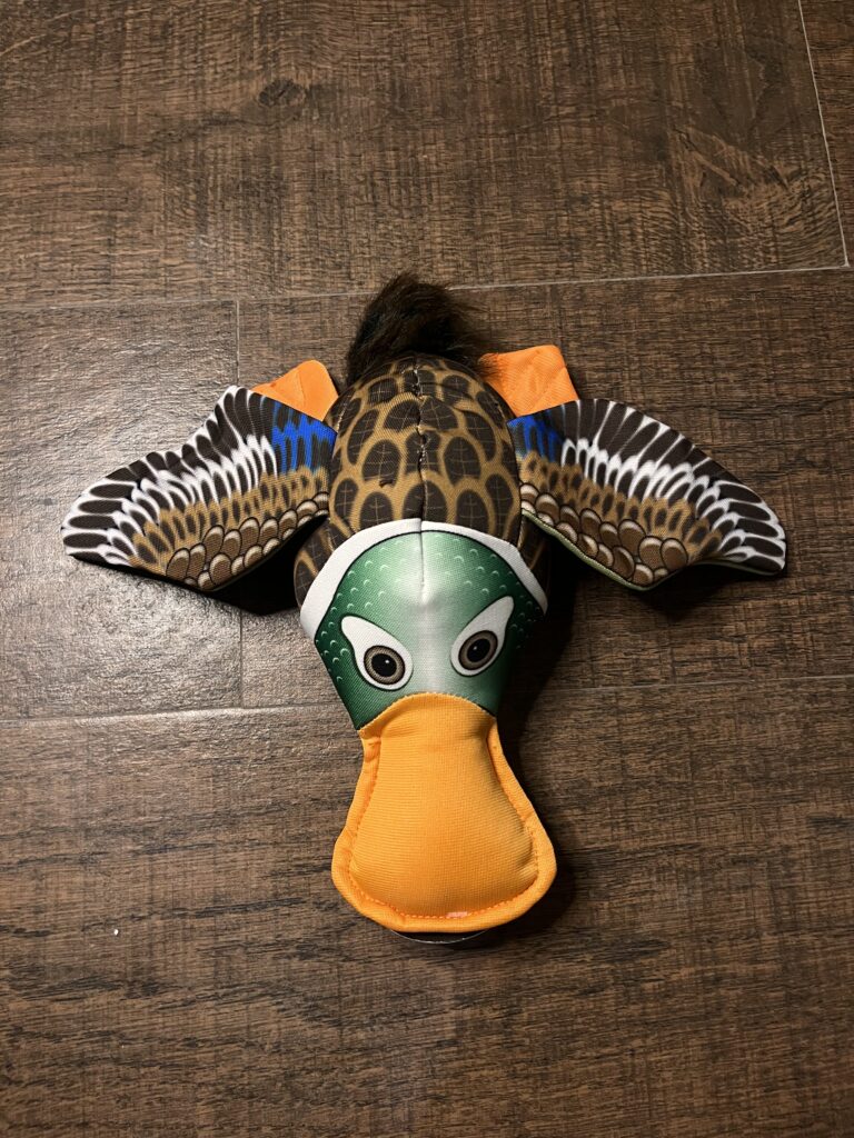 Wild Duck Plush Dog Toy with Squeaker