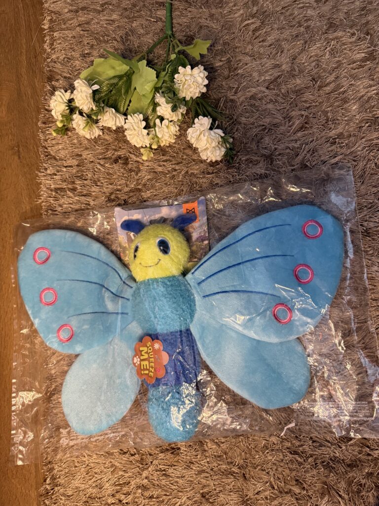 FlutterFly Plush Squeaky Toy