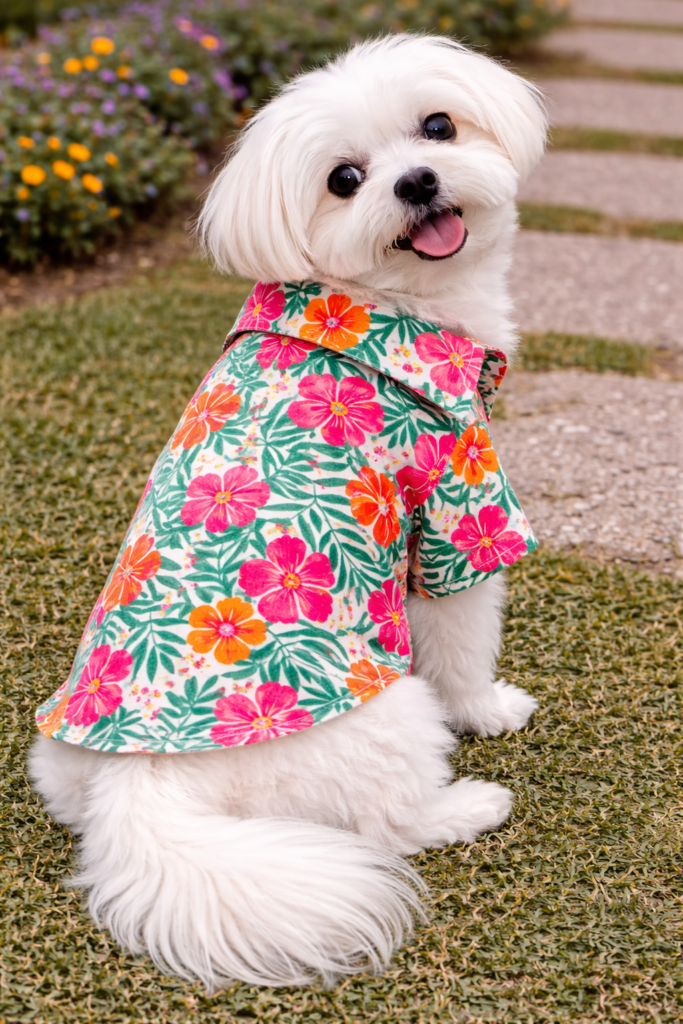 Tropical Floral Cotton Pet Shirt (Pink & Orange Print)