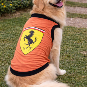 Furari Style Dog Tee