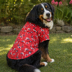Flamingo Print Dog Shirt – Summer Casual Wear