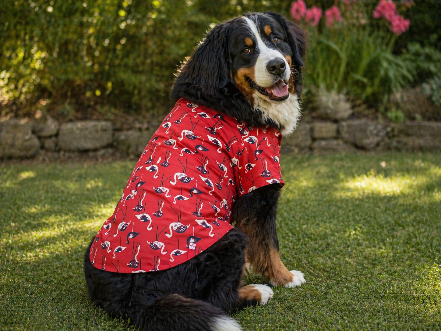 Flamingo Print Dog Shirt – Summer Casual Wear