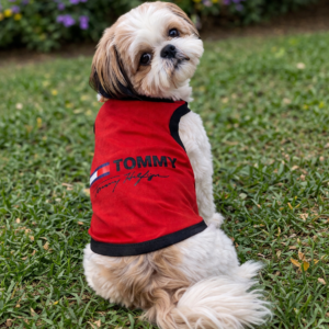 Cotton Dog Sando T-Shirt – Red (Size 14)