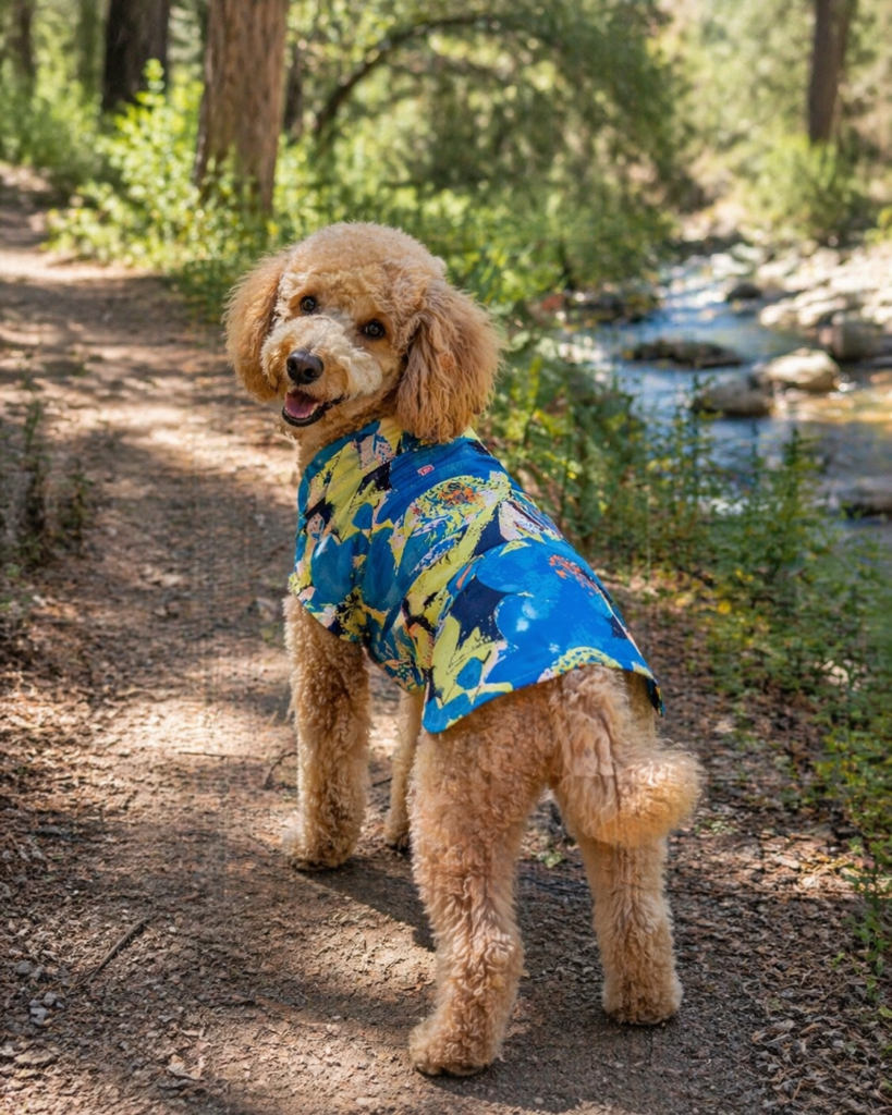 Abstract Print Summer Dog Shirt – Velcro Closure