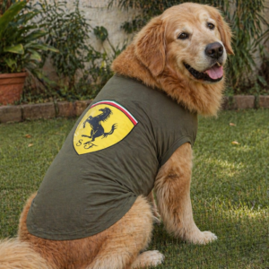 Sporty Graphic Dog T-Shirt – Olive Green Slip-On Wear