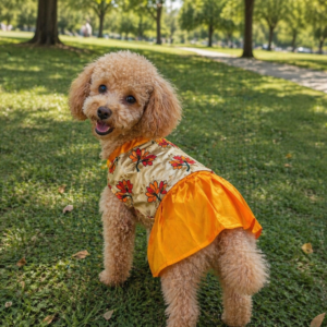 Festive Floral Pet Frock – Golden & Orange