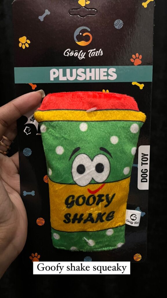 Goofy Shake Squeaky Plush Dog Toy