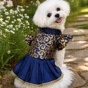 Royal Navy & Gold Designer Pet Frock – Festive Party Wear