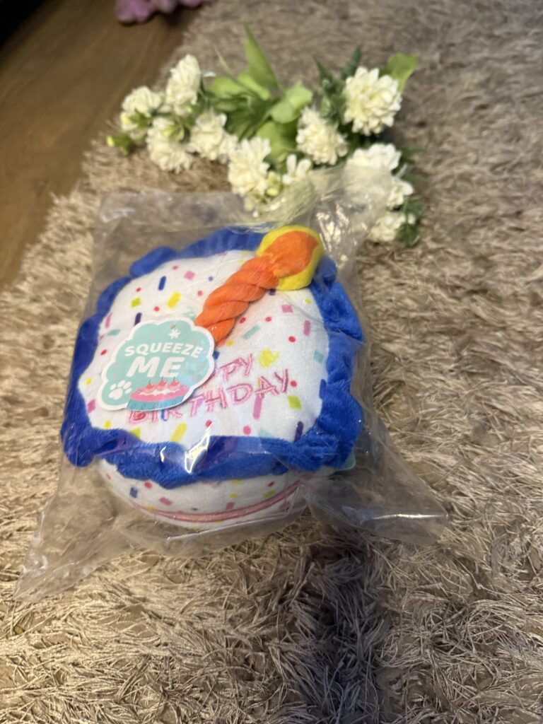 Birthday Cake Plush Dog Toy – Squeaky Celebration Toy