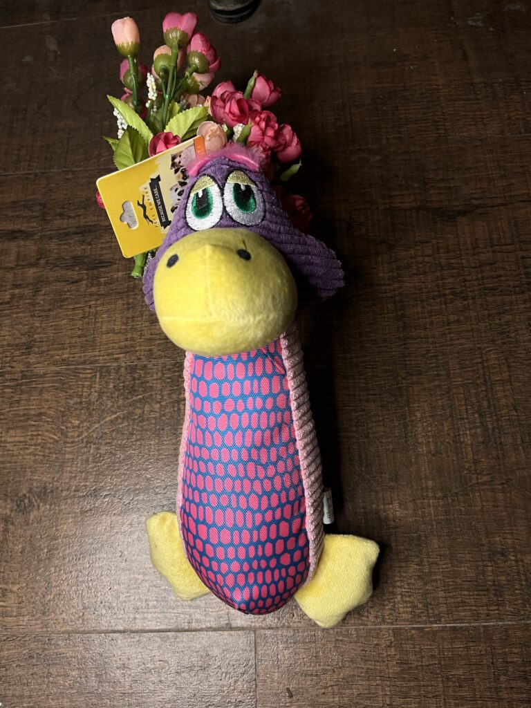 Funny Duck Plush Dog Toy – Squeaky Interactive Chew Toy