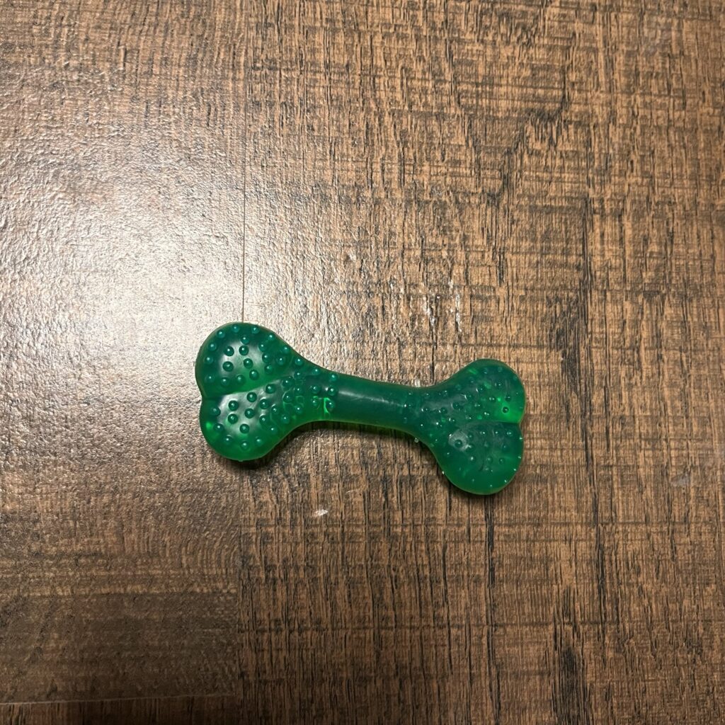 Green Textured Bone Chew Toy