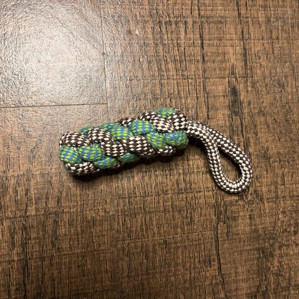 Braided Rope Tug Dog Toy with Handle