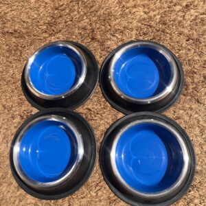 Non-Slip Stainless Steel Pet Feeding Bowl | Food & Water Bowl for Dogs & Cats (Small)