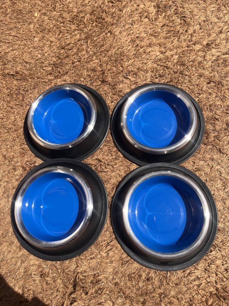 Non-Slip Stainless Steel Pet Feeding Bowl | Food & Water Bowl for Dogs & Cats (Small)