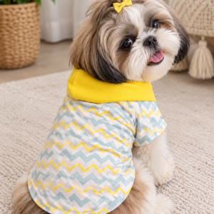 Sunny Chevron Hooded Tee 💛🩵