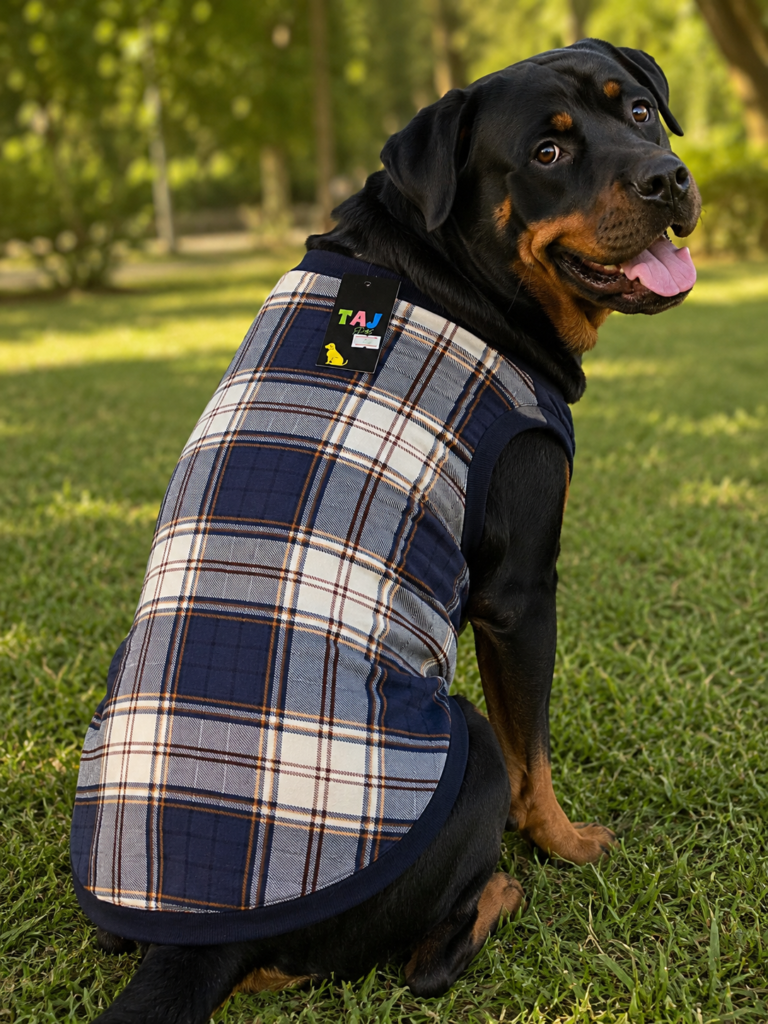 Navy & Cream Plaid Dog Tee