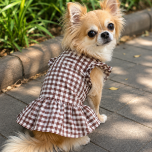 Maroon Brown Gingham Dog Frock