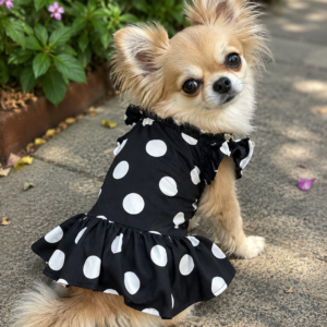 Classic Polka Dot Dog Frock