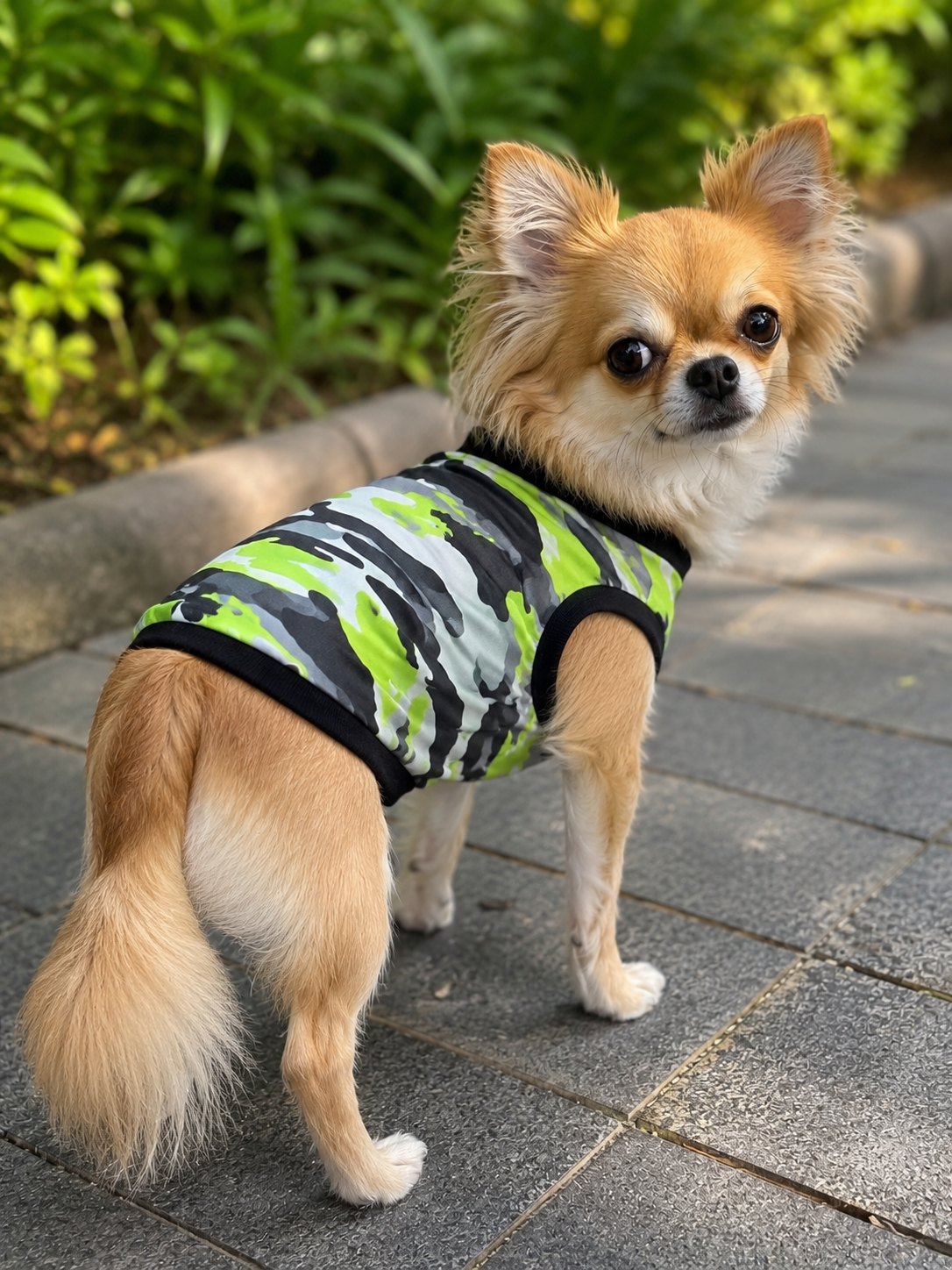 Neon Camo Dog Tee