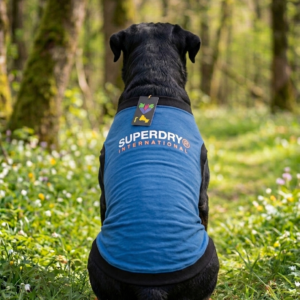 Superdry International Dog Vest – Premium Sleeveless Blue Tee