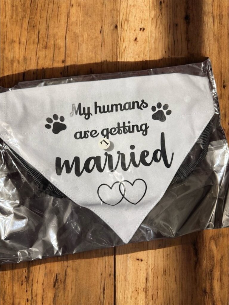 💍 “My Humans Are Getting Married” Dog Bandana L size
