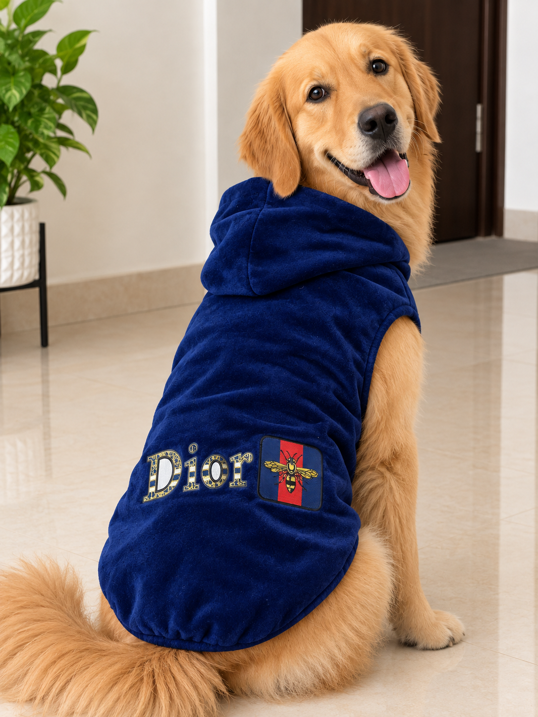 Premium Blue Dior Hoodie