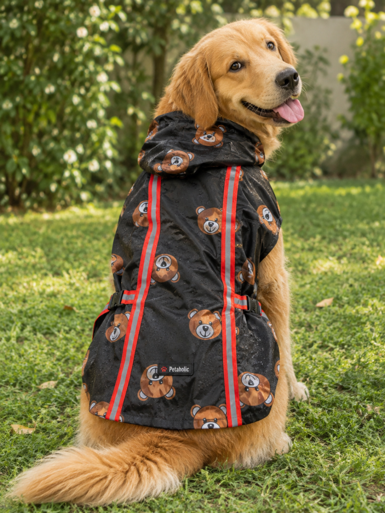 Black Teddy Bear Print Hooded Dog Raincoat