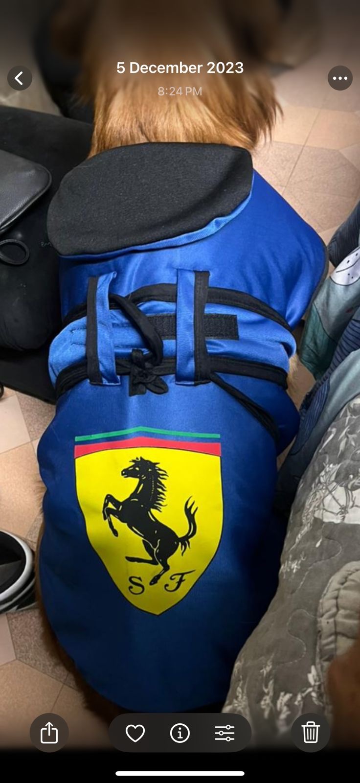 Blue Ferrari Water-Repellent Winter Coat
