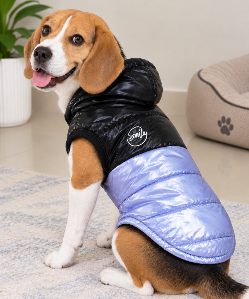 Metallic Smile Dog Jacket