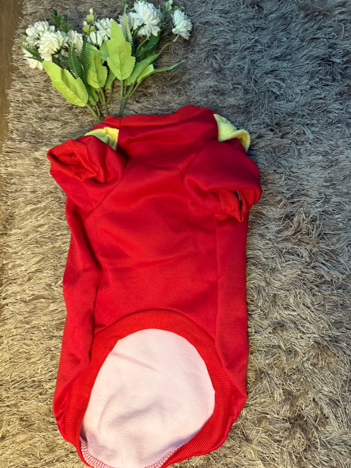 Red Winter Outfit with Yellow Ruffle Detailing - Image 3