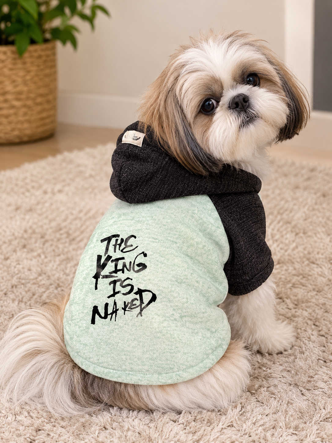 Mint Green & Black Fur Hoodie