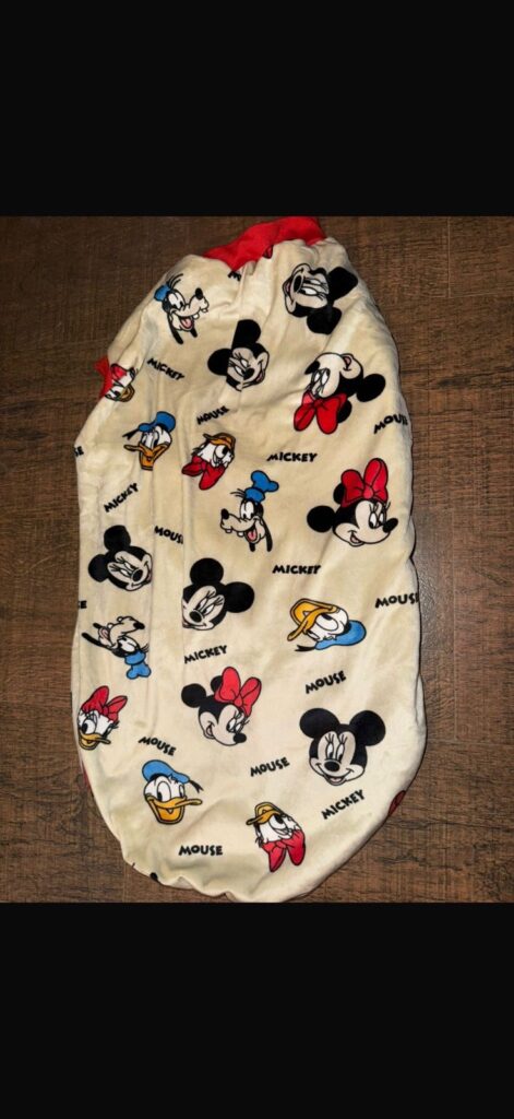 Mickey & Friends Printed Velvet Winter Tee
