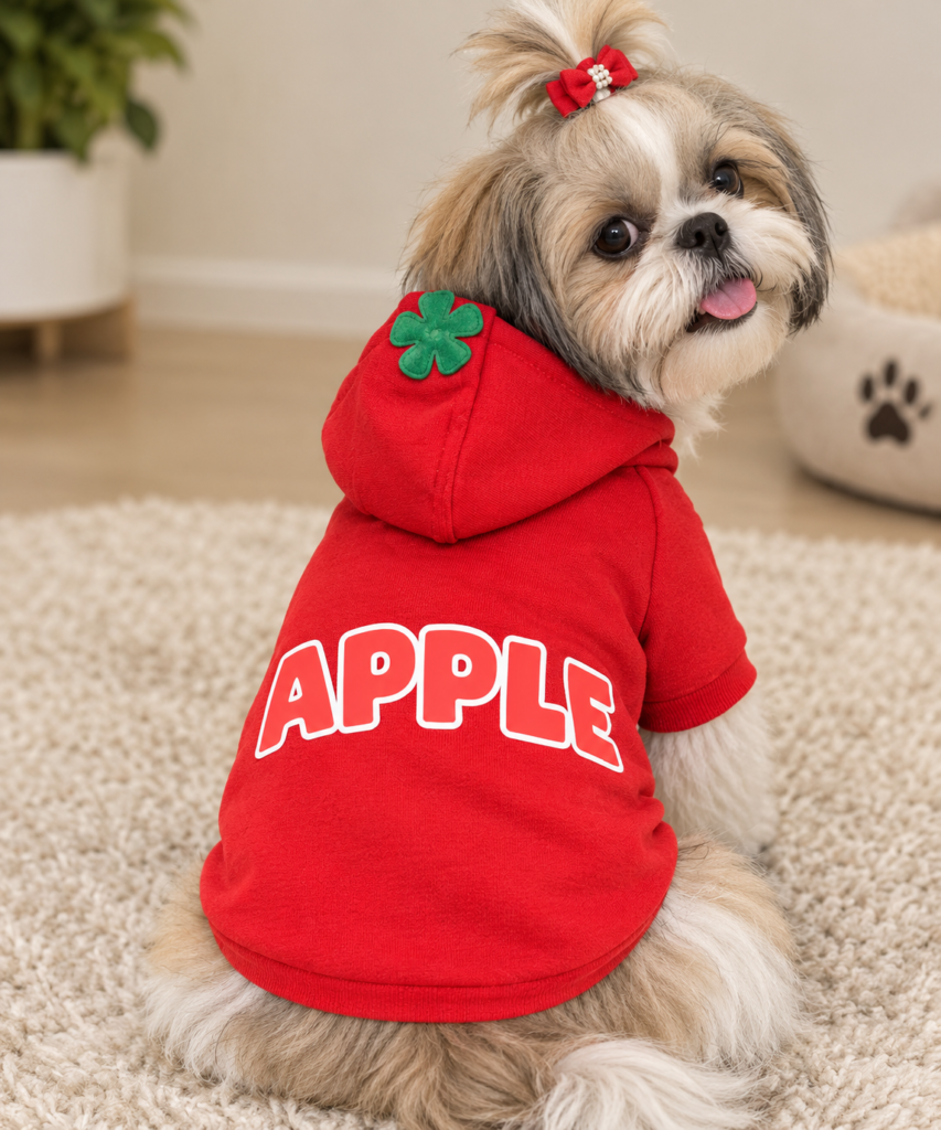 Apple Red Winter Hoodie 🍎