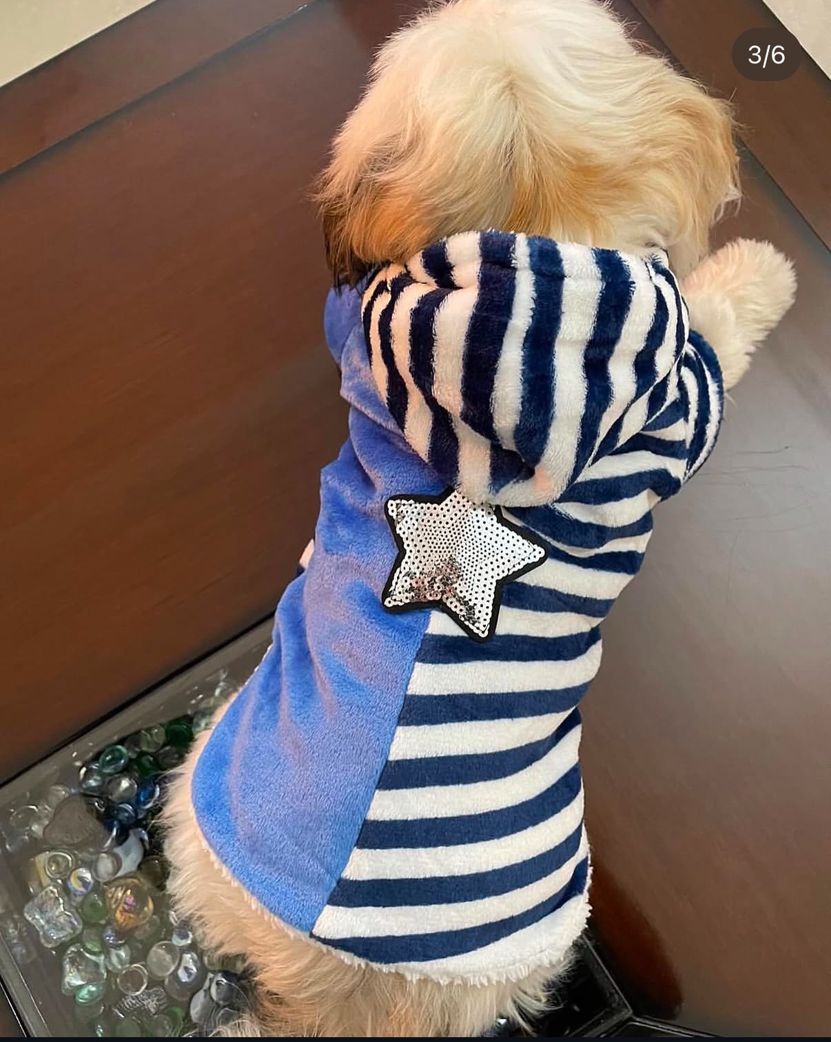 Blue Star Hoodie 🌟