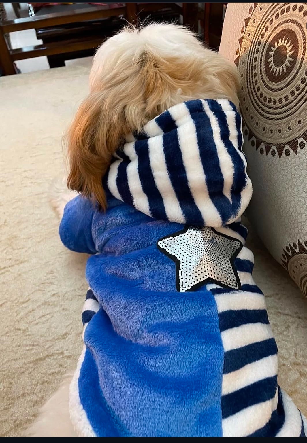 Blue Star Hoodie 🌟 - Image 3