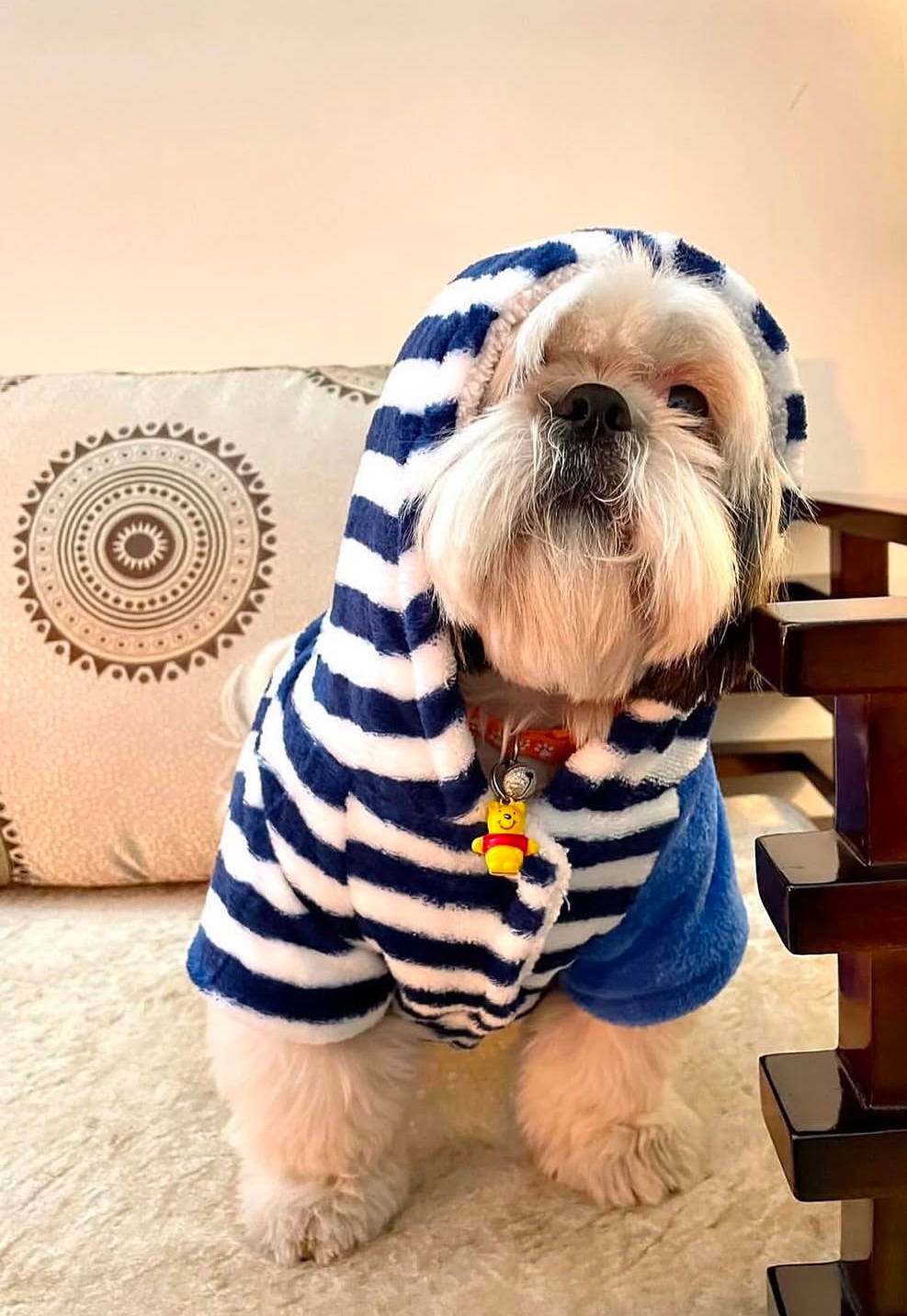 Blue Star Hoodie 🌟 - Image 2